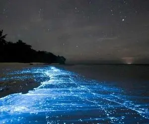 شگفتی های طبیعت؛ سواحل شگفت انگیز جزیره وادهو در مالدیو با نور های آبی درخشان