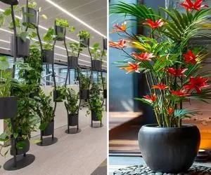 گیاهان آپارتمانی مناسب محل کار و پذیرایی های بزرگ؛ جلا و جبروت دیدنی بدون نگهداری خاص