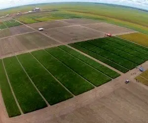 کشاورزی نوین؛ 7 مزرعه بزرگ دنیا که نه فقط 5 قاره بلکه به مریخ هم می تونه غذا بده