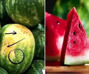 تشخیص دادن هندوانه خوب / الکی نکوب سر هندونه آخرم کالشو بخر با نگاه کردن بفهم شیرینه!