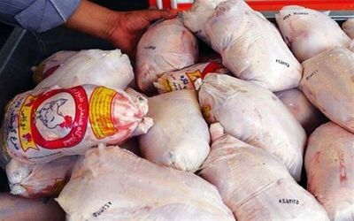 شرکت توزیع مرغ فاسد در ابهر پلمب شد