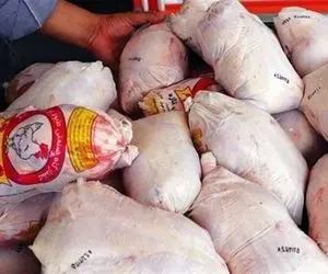 شرکت توزیع مرغ فاسد در ابهر پلمب شد