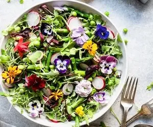 چیستان فکری؛  اون چیه که هم نام سالاد است هم نام گل؟