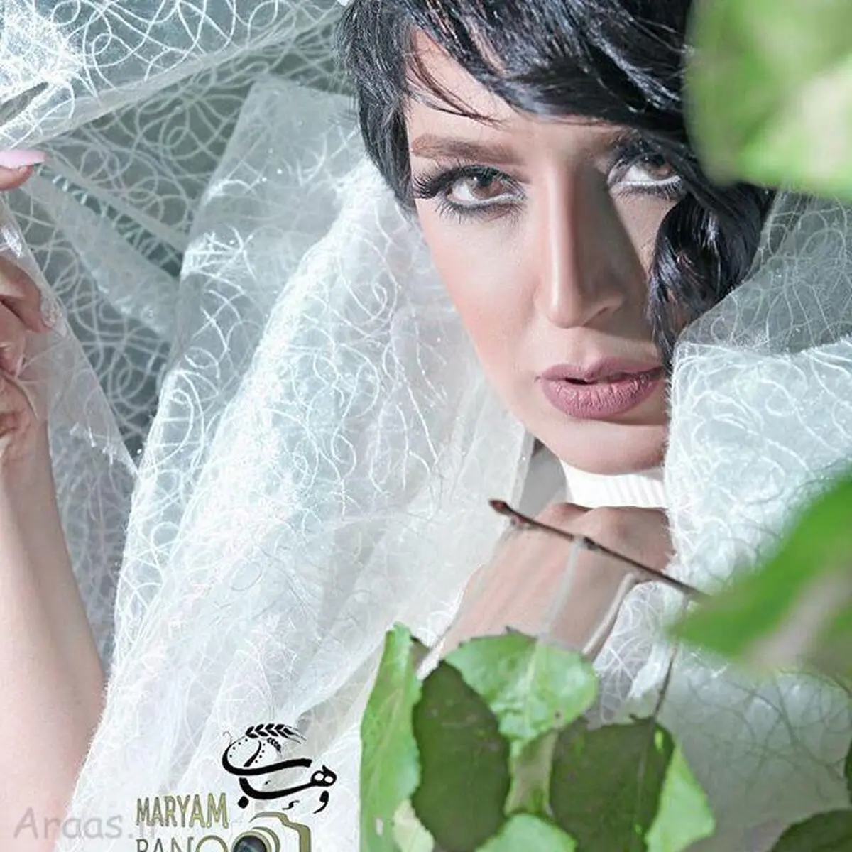 فریبا طالبی.jpg1