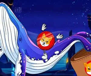  4 خبر مهم برای شیبا!