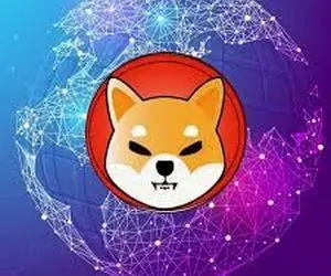 آیا شیبا اینو عقب نشینی کرد؟