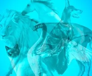 تست شخصیت شناسی تصویری؛ بگو تو تصویر چی چی میبینی تا پَته مَتَت رو بریزم رو داااریه!