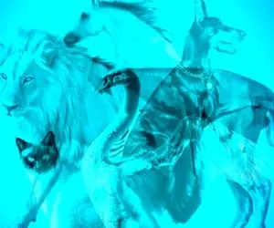 تست شخصیت شناسی تصویری؛ بگو تو تصویر چی چی میبینی تا پَته مَتَت رو بریزم رو داااریه!