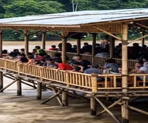 معماری طبیعت؛ بندگان خدا فقط رفته بودن غذا بخورن ولی غذای آخرشون شد