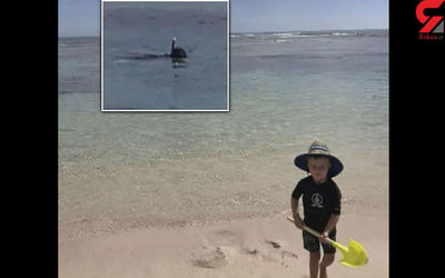 کوسه گرسنه پدر کودکی 2 ساله را در دریا خورد!
