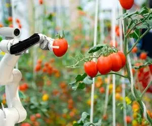 کشاورزی فناورانه؛ ربات ها هکتارها زمین لم یزرع رو کشت می کند و تناژی محصول درو می کنن