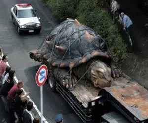 حیوانات غول پیکر؛ لاک پشت 200 ساله با 2450 کیلو وزن پشت کامیون یله شده بره دکتر