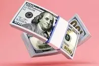 قیمت دلار امروز چهارشنبه 15 بهمن