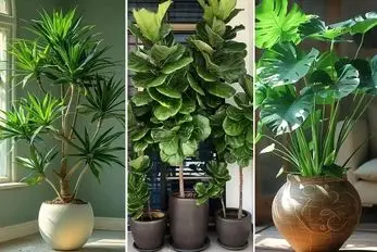 گیاهان آپارتمانی مختص افراد مبتدی و صفر کیلومتر در پرورش گل و گیاه؛ بادوام و بی دردسر