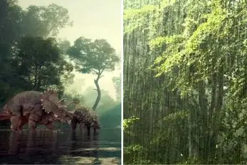 باران یک تا دو میلیون ساله: راز بزرگ «رخداد بارانی کارنین» در ۲۳۲ میلیون سال پیش