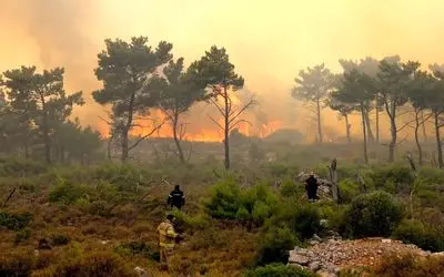 گزارشی از آخرین وضعیت جنگل الیت که ۲۰ روز است در آتش‌ می‌سوزد