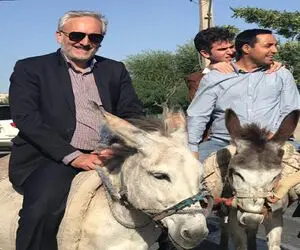 سکانس خندان؛ وسط خیابان سوار خر شدن و به الاغه میگن حیوان چهار راه مراقب باش