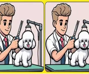 بازی فکری؛ اگه خفت و خواری هوشت رو دوش نخبگانه 3 تفاوت هاپوی نانازی رو بگو