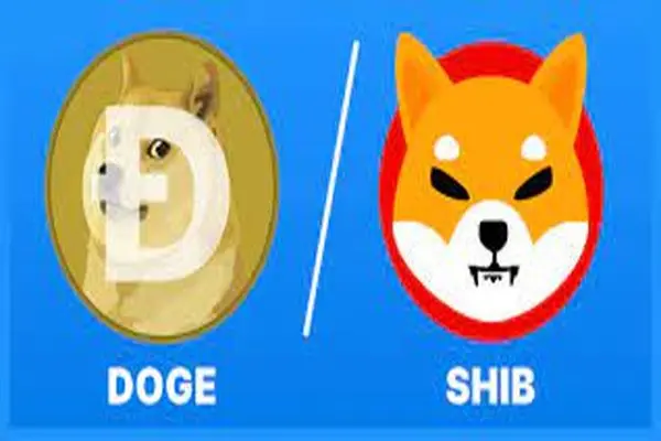 SHIBAINU