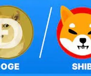 دلیل مبارزه ی کاربران شیبا اینو و دوج کوین به خاطر صرافی رابین هود؟
