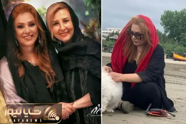 nasrin moghanlo shayanews