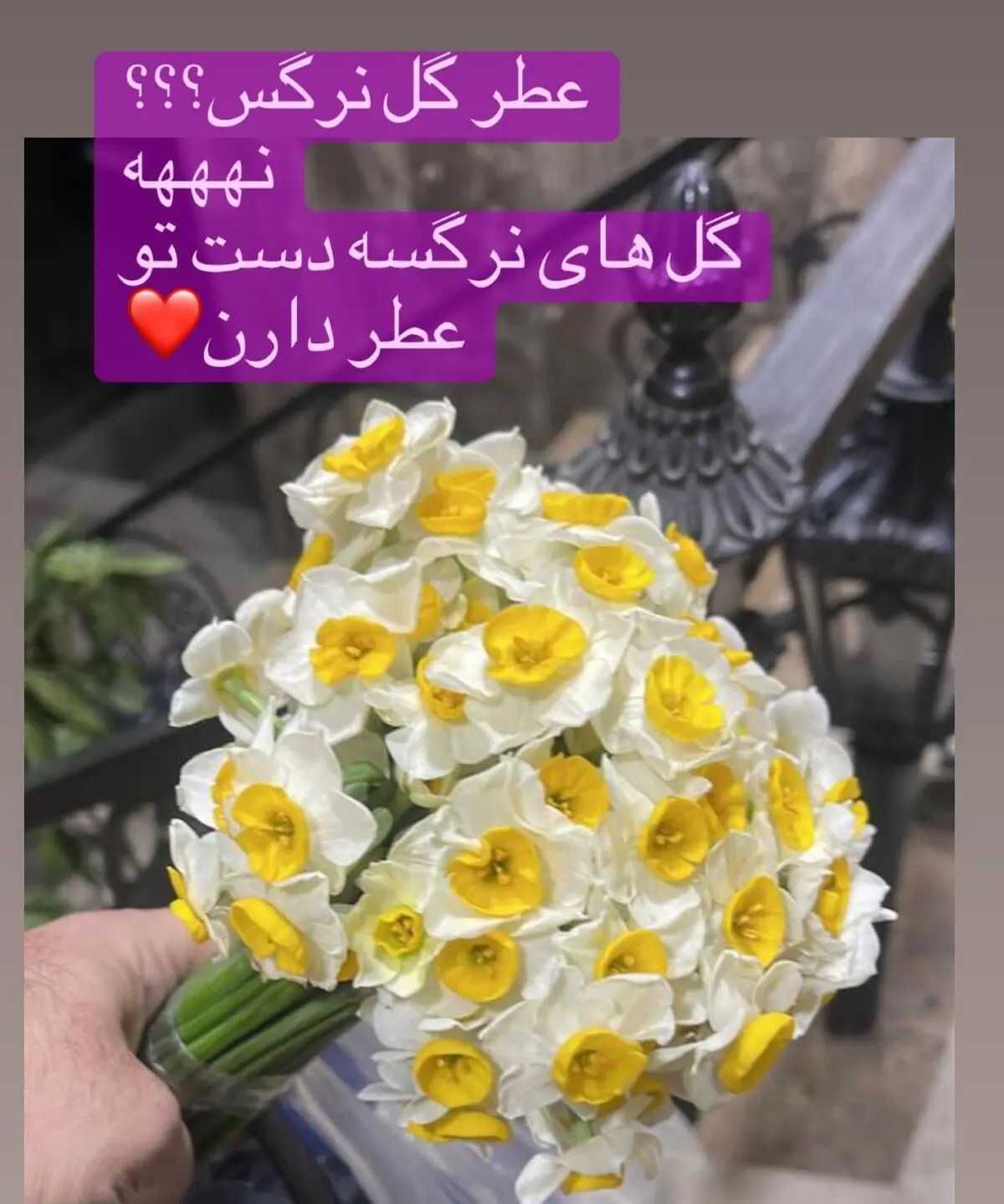 نفیسه روشن