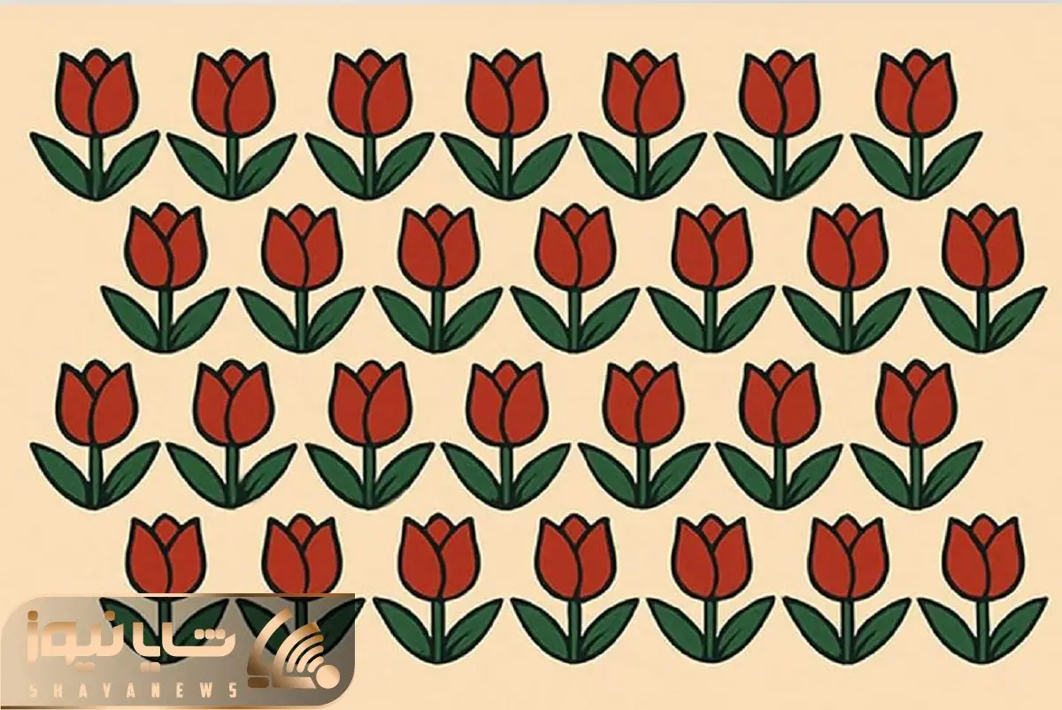 بازی فکری؛ باید دیدت در حد سوپرمن باشه تا گل لاله متفاوت رو پیدا کنی