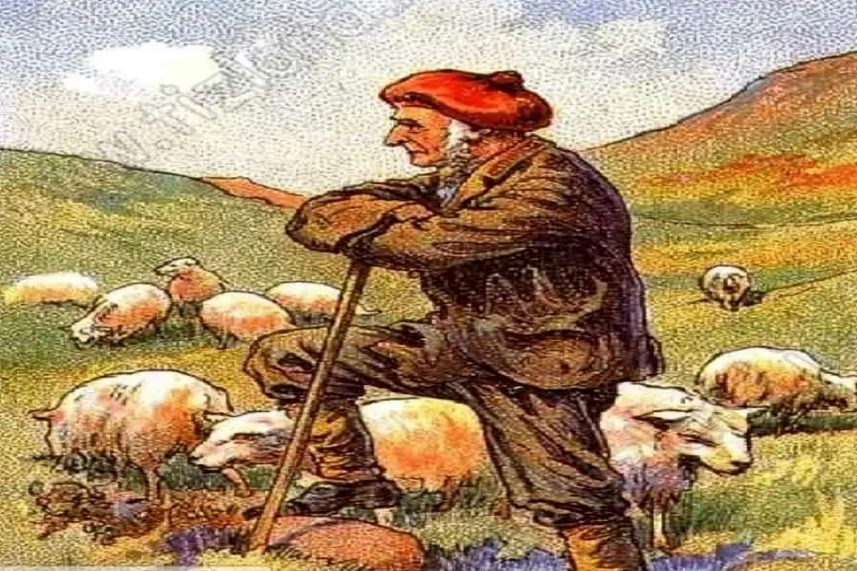 بازی فکری؛ دید عقابی میخواد تا بتونی سگ این پیر چوپون رو تو صحرا پیدا کنی و تحویل بدی