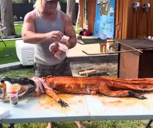 کباب تمساح؛ واسه کبابی کردن ورقه های کالباسو با سیخ رو تمساح فیکس کردن شده جوجه تیغی