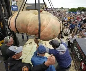 محصولات کشاورزی غول پیکر؛ کدو تنبل کشت کردن به قدری بزرگ که واسه برداشت جرثقیل اومده