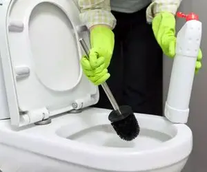 ترفندهای خانه داری؛ این پودر رو داخل توالت بریزید و ببینید چه اتفاقی می افته