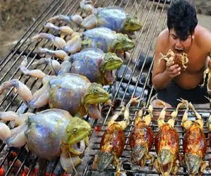 غذای چندش؛ با وردنه قورباغه رو صاف کرد با پیازچه شکمش و پر و رول شده سرخ کرد