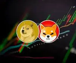 حماسه آفرین ترین اتفاق بین دوج کوین و شیبااینو!