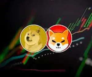 حماسه آفرین ترین اتفاق بین دوج کوین و شیبااینو!