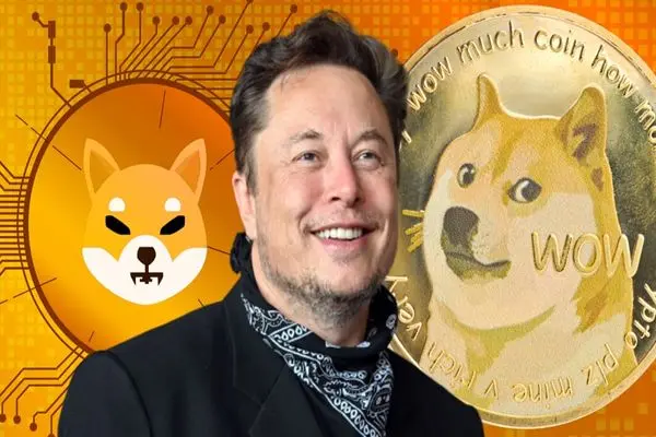 DOGCOIN