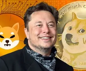 توییت متحیرماسک برای دوج کوین یا شیبا؟