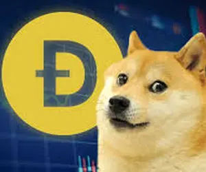 پیش بینی بسیار مهم برای قیمت دوج کوین!