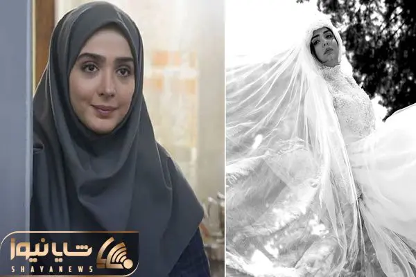 elmira dehghani shayanews