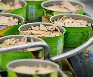 گرانی بی سابقه تن ماهی در بازار!