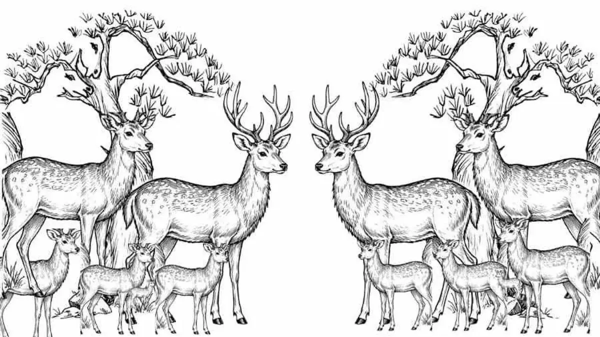 Count-the-Number-of-Deer-In-This-Symmetrical-Black-and-White-Optical-Illusion-1786615554594-ezgif.com-webp-to-jpg-converter