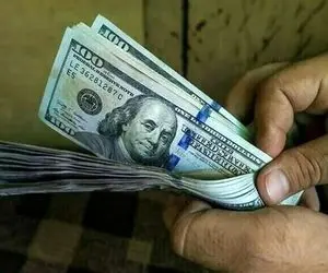 آخرین قیمت دلار امروز جمعه 12 تیر | چرا دلار همچنان میل به نزول ندارد؟
