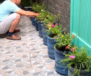 ایده های خلاقانه؛ بطری پلاستیکی آب معدنی دور ننداز توش گل بکار نگران آبیاریشم نباش