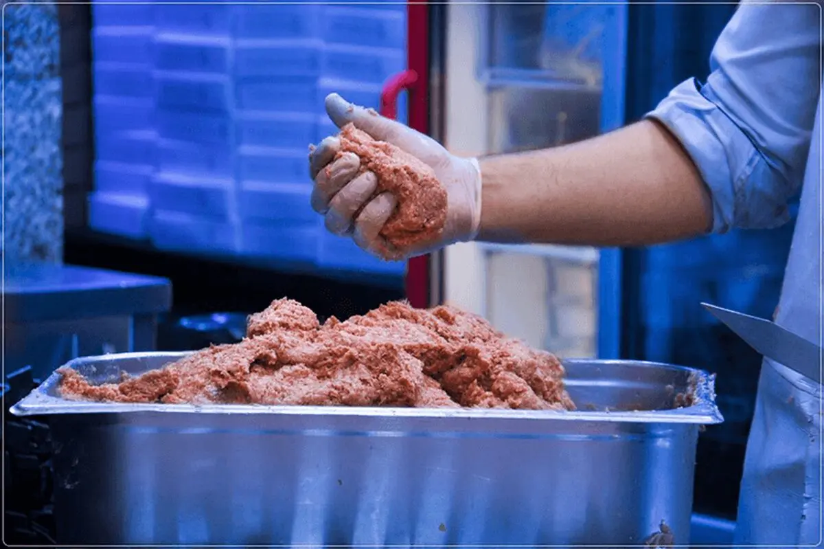 Kabab-Koobide