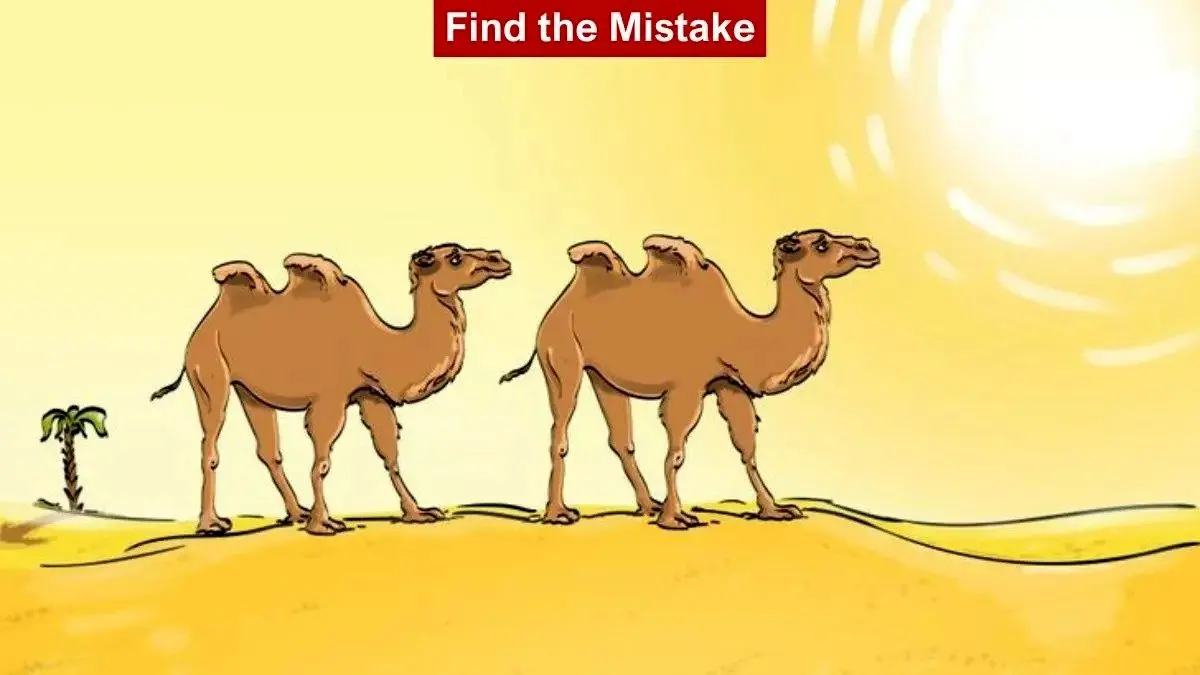 Find-the-mistake-in-the-desert-picture-ezgif.com-webp-to-jpg-converter