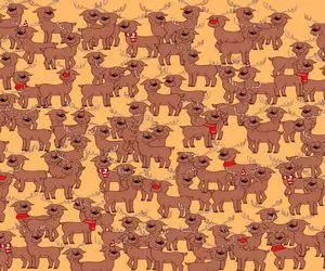 هوش تصویری؛ اگه جزو اون یک درصد نابغه های جهان هستی خرس رو زیر 1 دقیقه تو عکس پیدا کن!