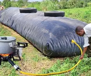 ابلهانه های جذاب؛ با فضولات گاو و گوسفند گاز تولید میکنن تا باهاش کلی غذا طبخ کنن