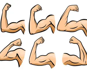 تعبیرخواب بازو،دیدن بازوی شکسته در خواب