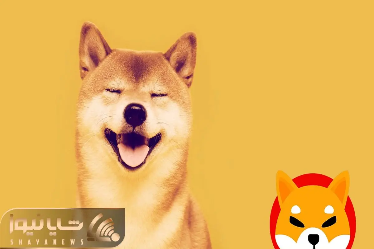 Shiba Inu