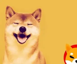 چه زمانی شیبااینو به 0.01 دلار می رسد؟