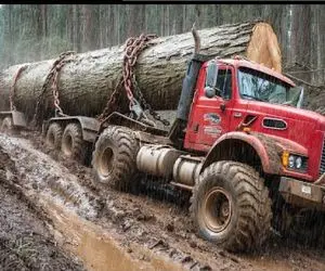 جا به جایی جانکاه؛ راننده با سیم بکسل وصل بود به این دنیا اونم که ...